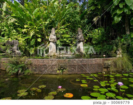 沖縄　植物園 30069779