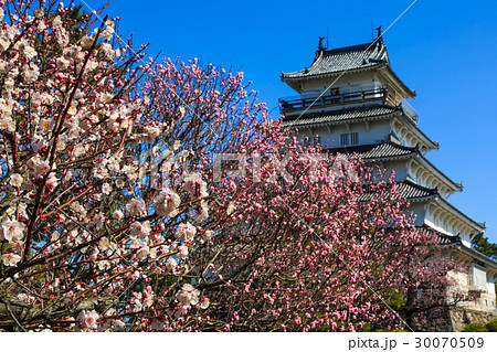 島原城　梅の花 30070509