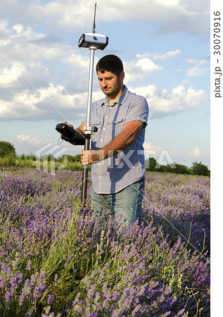 Land surveying in a lavender field 30070916
