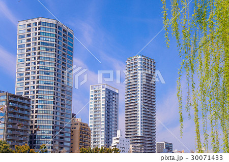 上野恩賜公園、新緑のヤナギと都市空間 30071433