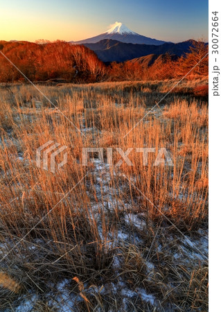 南大菩薩・大蔵高丸の草原と朝の富士山 30072664