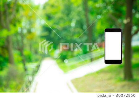 はめこみ　スマホ新緑イメージ　合成用背景素材　緑の背景　植物　春　初夏　木漏れ日　緑とコピースペース 30072950