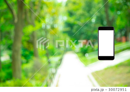 はめこみ スマホ新緑イメージ 合成用背景素材 緑の背景 植物 春 初夏 木漏れ日 緑とコピースペース はめこみ スマホ新緑イメージ 合成用背景素材 緑の背景 植物 春 初夏 木漏れ日 緑とコピースペース 30072951