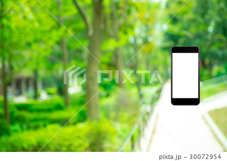 はめこみ　スマホ新緑イメージ　合成用背景素材　緑の背景　植物　春　初夏　木漏れ日　緑とコピースペース 30072954
