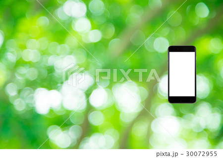 はめこみ　スマホ新緑イメージ　合成用背景素材　緑の背景　植物　春　初夏　木漏れ日　緑とコピースペース 30072955