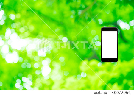 はめこみ　スマホ新緑イメージ　合成用背景素材　緑の背景　植物　春　初夏　木漏れ日　緑とコピースペース 30072966
