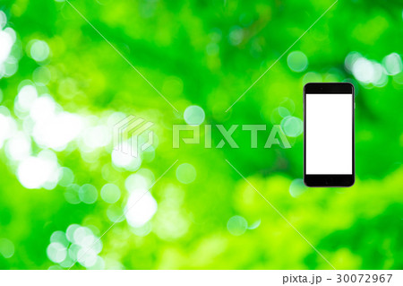 はめこみ　スマホ新緑イメージ　合成用背景素材　緑の背景　植物　春　初夏　木漏れ日　緑とコピースペース 30072967