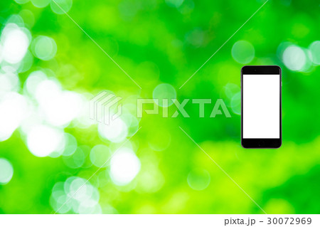 はめこみ　スマホ新緑イメージ　合成用背景素材　緑の背景　植物　春　初夏　木漏れ日　緑とコピースペース 30072969