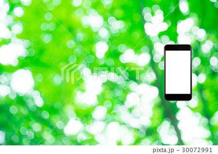 はめこみ　スマホ新緑イメージ　合成用背景素材　緑の背景　植物　春　初夏　木漏れ日　緑とコピースペース 30072991