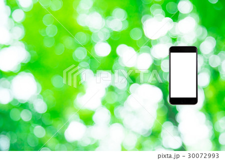 はめこみ スマホ新緑イメージ 合成用背景素材 緑の背景 植物 春 初夏 木漏れ日 緑とコピースペース はめこみ スマホ新緑イメージ 合成用背景素材 緑の背景 植物 春 初夏 木漏れ日 緑とコピースペース 30072993