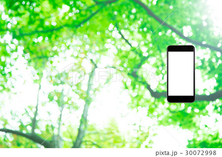 はめこみ スマホ新緑イメージ 合成用背景素材 緑の背景 植物 春 初夏 木漏れ日 緑とコピースペース はめこみ スマホ新緑イメージ 合成用背景素材 緑の背景 植物 春 初夏 木漏れ日 緑とコピースペース 30072998