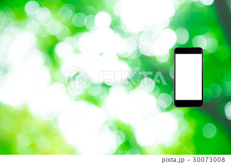 はめこみ　スマホ新緑イメージ　合成用背景素材　緑の背景　植物　春　初夏　木漏れ日　緑とコピースペース 30073008