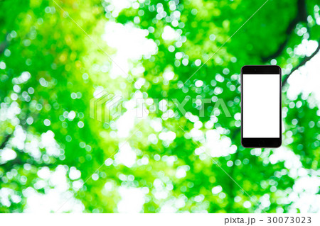 はめこみ　スマホ新緑イメージ　合成用背景素材　緑の背景　植物　春　初夏　木漏れ日　緑とコピースペース 30073023