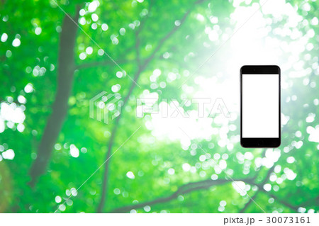 はめこみ スマホ新緑イメージ 合成用背景素材 緑の背景 植物 春 初夏 木漏れ日 緑とコピースペース はめこみ スマホ新緑イメージ 合成用背景素材 緑の背景 植物 春 初夏 木漏れ日 緑とコピースペース 30073161