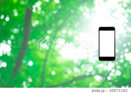 はめこみ スマホ新緑イメージ 合成用背景素材 緑の背景 植物 春 初夏 木漏れ日 緑とコピースペース はめこみ スマホ新緑イメージ 合成用背景素材 緑の背景 植物 春 初夏 木漏れ日 緑とコピースペース 30073162