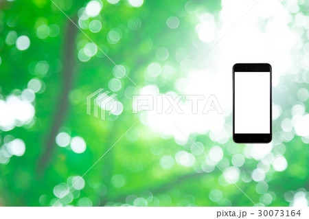 はめこみ　スマホ新緑イメージ　合成用背景素材　緑の背景　植物　春　初夏　木漏れ日　緑とコピースペース 30073164