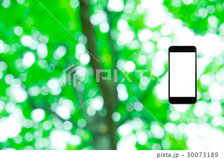 はめこみ　スマホ新緑イメージ　合成用背景素材　緑の背景　植物　春　初夏　木漏れ日　緑とコピースペース 30073189