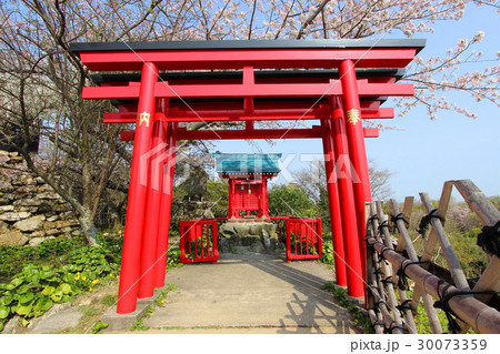 浜松城　出世稲荷神社 30073359