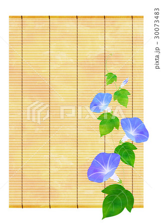 朝顔とすだれのイラスト素材