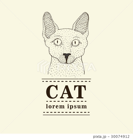 Sphynx cat logo, vector illustration 30074912
