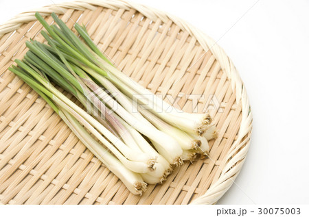 島らっきょう（沖縄 島野菜） 30075003