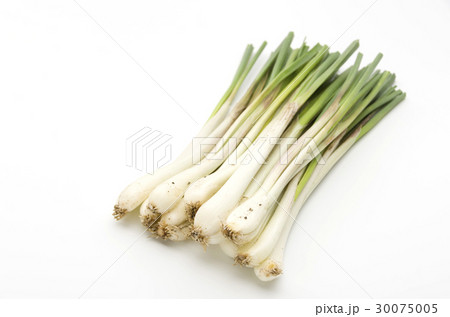 島らっきょう（沖縄 島野菜） 30075005
