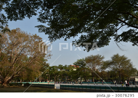 公園 パーク 園 30076295