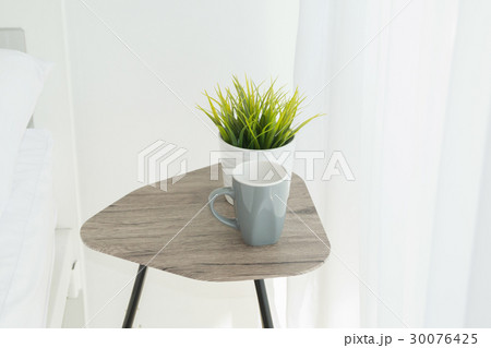 Simple  White room with potted plant green 30076425