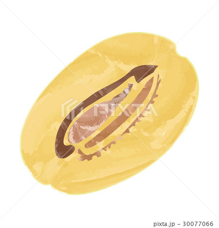 Isolated soursop cut Isolated soursop cut 30077066