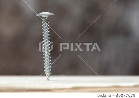 Screw screwed into wooden plank 30077679