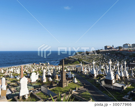 墓石 墓碑 墓標 30077966