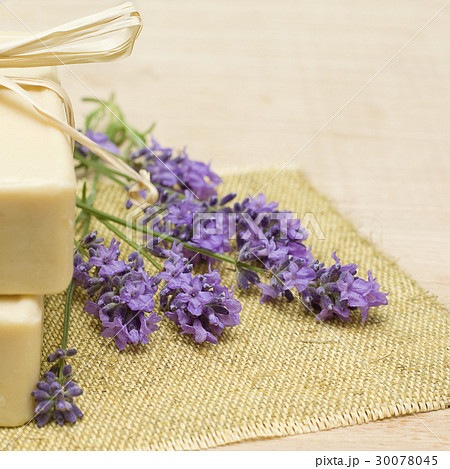 Lavender and bath soap 30078045