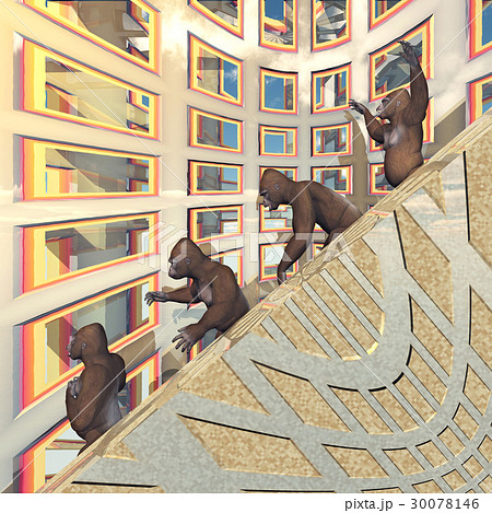 Four gorillas walking on a stairway 30078146