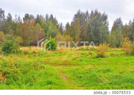 Summer landscape with field. Summer landscape with field. 30078553