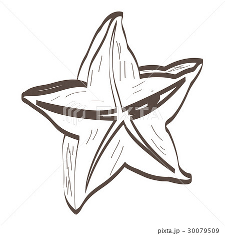 Isolated carambolo cut outline 30079509
