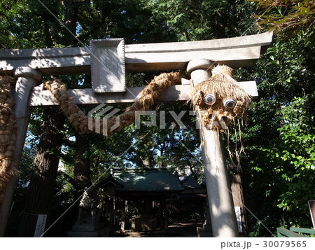 奥澤神社 30079565