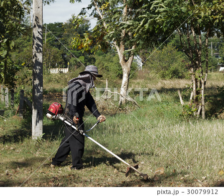 Worker cutting grass Worker cutting grass 30079912