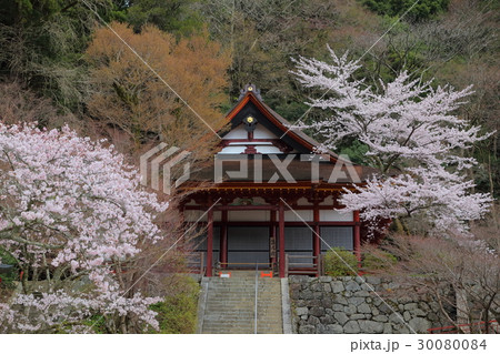 談山神社　桜と権殿 30080084