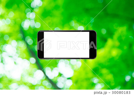 スマホと新緑イメージ 合成用背景素材 緑の背景 植物 春 初夏 木漏れ日 緑とコピースペース スマホと新緑イメージ 合成用背景素材 緑の背景 植物 春 初夏 木漏れ日 緑とコピースペース 30080183