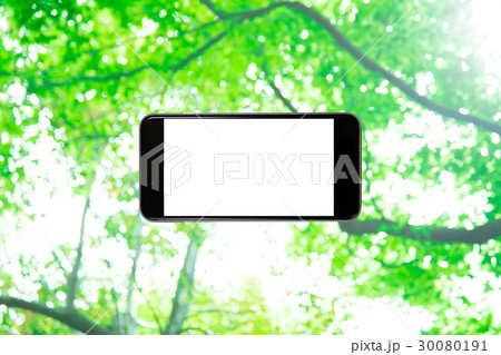 スマホと新緑イメージ 合成用背景素材 緑の背景 植物 春 初夏 木漏れ日 緑とコピースペース スマホと新緑イメージ 合成用背景素材 緑の背景 植物 春 初夏 木漏れ日 緑とコピースペース 30080191