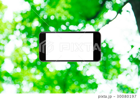 スマホと新緑イメージ 合成用背景素材 緑の背景 植物 春 初夏 木漏れ日 緑とコピースペース スマホと新緑イメージ 合成用背景素材 緑の背景 植物 春 初夏 木漏れ日 緑とコピースペース 30080197
