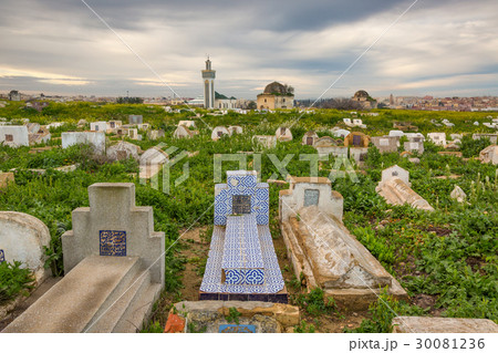 Cemetery on the edge of Meknes Medina, Morocco 30081236