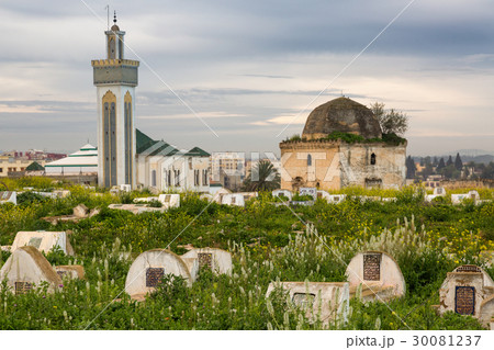 Cemetery on the edge of Meknes Medina, Morocco 30081237