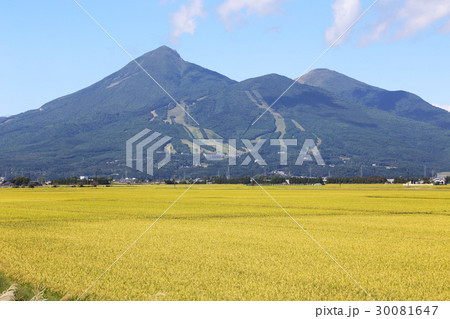 磐梯山と田園風景 磐梯山と田園風景 30081647