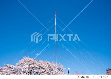桜と電波塔 伊那市春日公園より 桜と電波塔 伊那市春日公園より 30081792