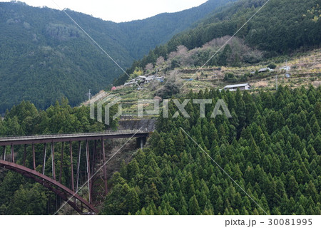 仙頭大橋 30081995