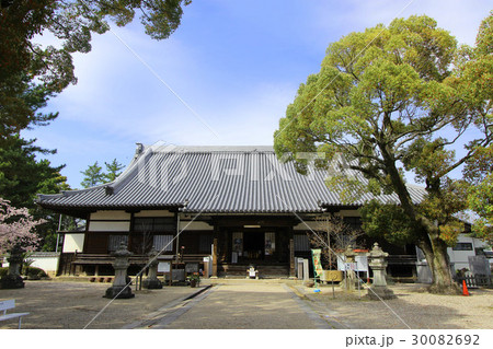 大樹寺 本堂 大樹寺 本堂 30082692