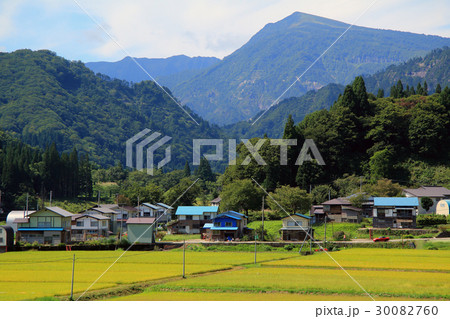実った田んぼと浅草岳　只見町 30082760