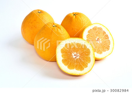 宇和ゴールド 宇和ゴールド 30082984