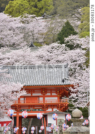 和歌山県 紀三井寺と桜 桜門 の写真素材